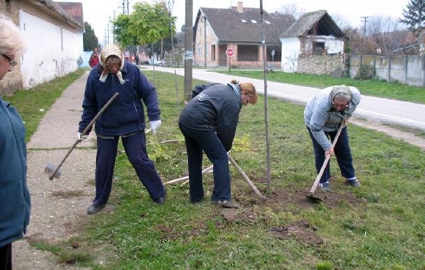 Výsadba stromkov na hložianskom cintoríne