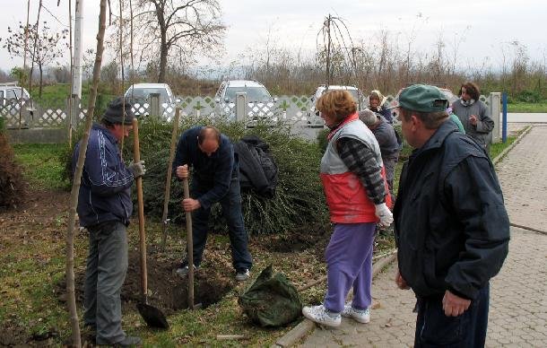 Výsadba stromkov na hložianskom cintoríne
